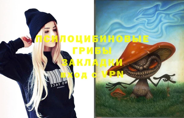 амф Белокуриха