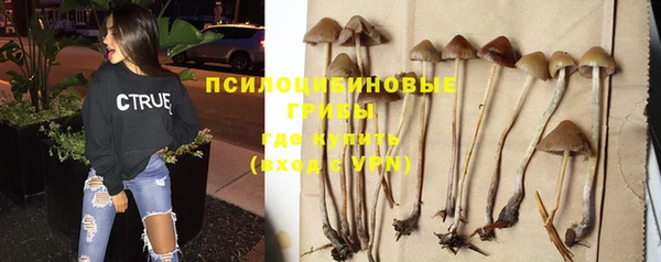 дживик Белоозёрский