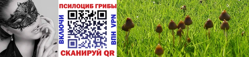 блэк спрут Коркино Галлюциногенные грибы Psilocybe что такое